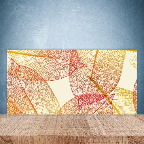 Paraschizzi cucina 100x50 - paraschizzi,