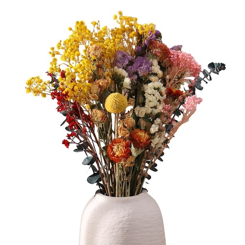 Halinuia pezzi fiori secchi - pezzi,