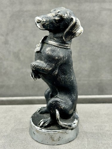 Bassotto kasli statua - bassotto,