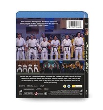 Cobra Kai season 1-6：Disc