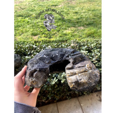 Tana per geco Leopardino, tana