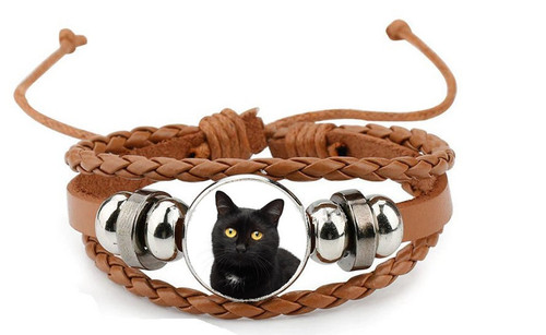 Black cat pet - black, brown