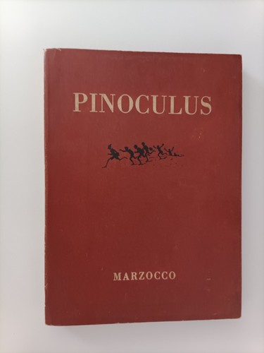 Pinoculus pinocchio latinum - pinoculus,