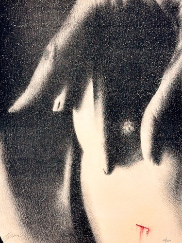 Omar galliani litografia - galliani,