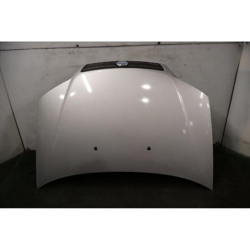 Cofano ant fiat - cofano, punto
