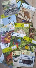 Gli animali e la loro vita -