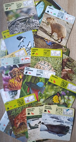 Gli animali loro vita - animali,