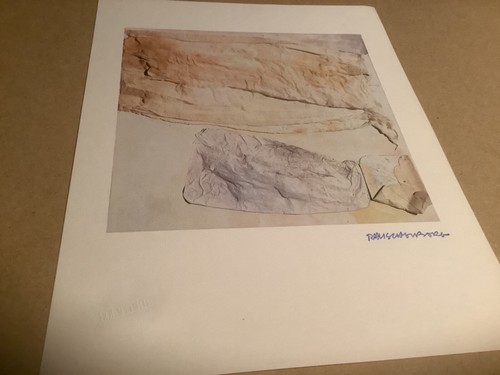 Robert rauschenberg - robert,