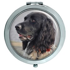 Grande Munsterlander Großer