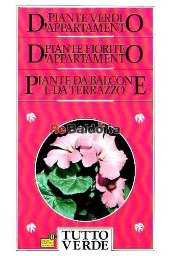 Piante verdi appartamento - piante, d'appartamento