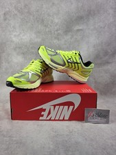 Nike air pegasus 2005 - pegasus,