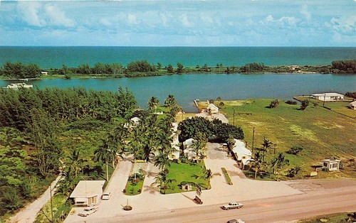 Palm garden motel - garden,