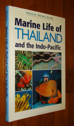 Marine life thailand - life, and