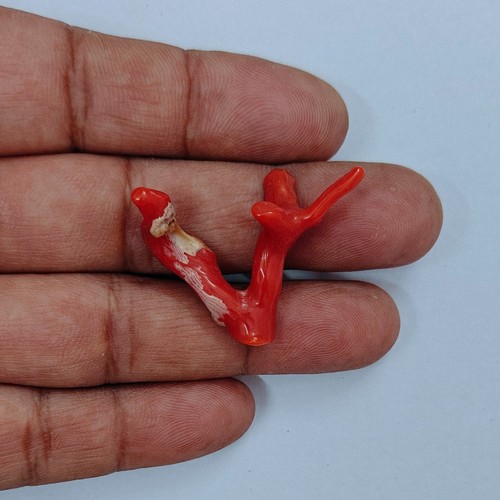 Pietra preziosa corallo rosso