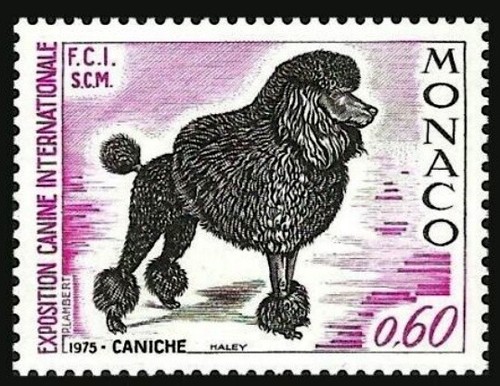 Esposizione canina monaco - esposizione,