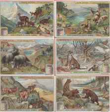 FIGURINE LIEBIG SERIE COMPLETA