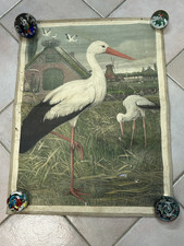 ANTICO POSTER DIDATTICO