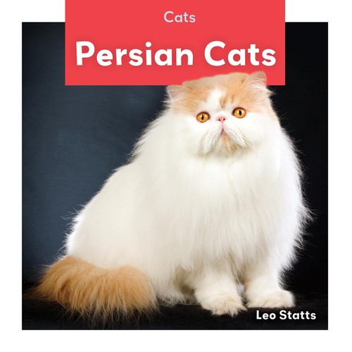 Persian cats - persian,