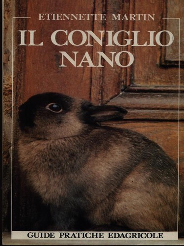 Coniglio nano animali - nano,