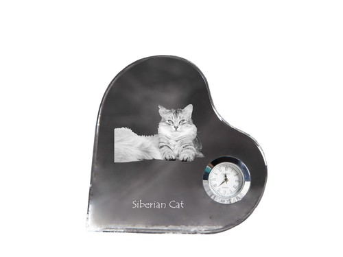 Gatto siberiano orologio - orologio, a