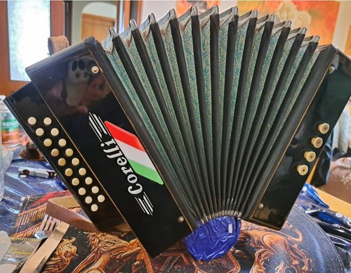 Vintage 1960 fisarmonica - vintage,