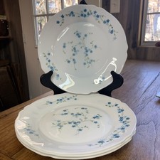 Arco Arcopal France Veronica