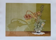 Dario Manini cm 50x70 litografia Il girasole