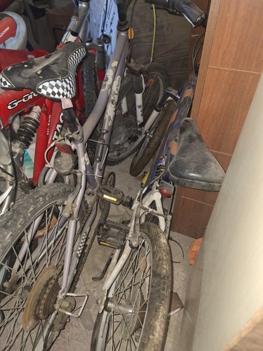 Bici corsa olimpia - olimpia, tg