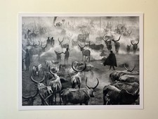 Sebastião salgado genesis kei - sebastião,