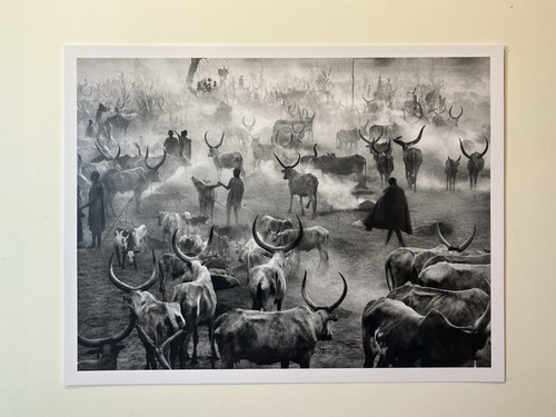 Sebastião salgado genesis kei - salgado,