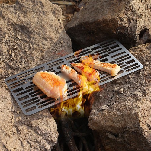 Cooking nature barbecue - nature,