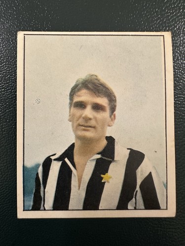 Calciatori imperia 1968 n - imperia,