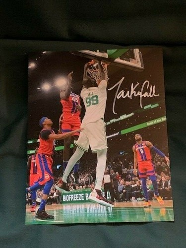 Foto celtics tacko - , fall