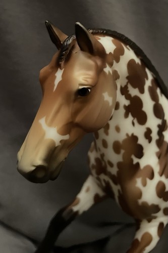 Breyer 2025 let the good - 2025,