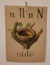 STAMPA ALFABETO MURALE - DIDATTICA ANNI '50 - SCUOLA - LETTERA N, NIDO