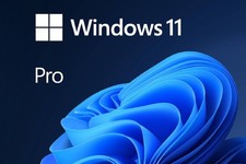 Windows 11 Professional 64 bit