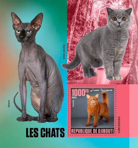 Francobolli gatti somali - francobolli,