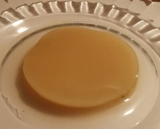 KOMBUCHA MOTHER SCOBY +
