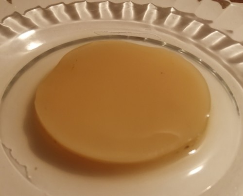 Kombucha mother scoby - scoby, +