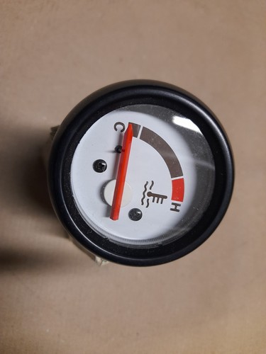 Termometro liquido