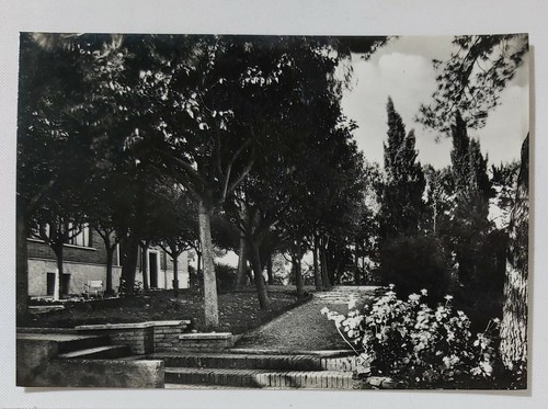 21034 3753 cartolina - -, roma