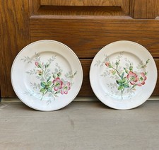 Piatti S. C. Richard 1800 vintage decoro piatto quadro ceramica maiolica Ginori