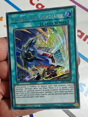 Tagliatore gordiano - tagliatore,