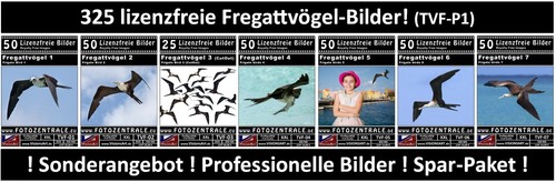 325 immagini professionali