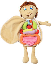 3D Peluche Organi Model