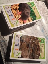 Lotto 161 Card Avventure Nella