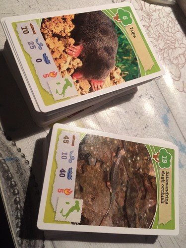 Lotto 161 card avventure nella - 161,