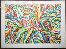 ALFREDO FABBRI INCISIONE ASTRATTA  Edizione Limitata EVA AFRODITE? 81x61cm