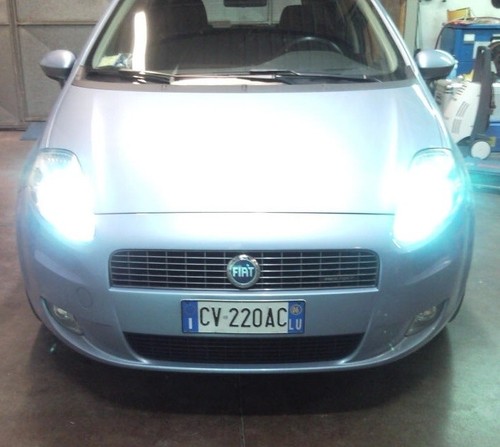 Lampade bixenon 6k fiat - lampade,