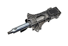 CANNA DELLO STERZO (PIANTONE)